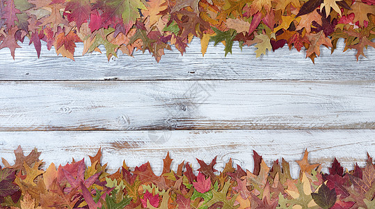 秋秋季节性遗叶礼章的顶端和底底边界背景图片