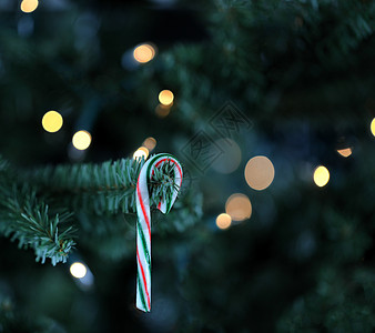 传统人造圣诞树 有甘蔗和白甘蔗图片