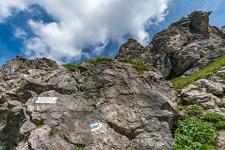 阿尔盖乌阿尔卑斯山大Widderstein山上登山观光农村田园诗旅行蓝色外表晴天背包享受旅游图片