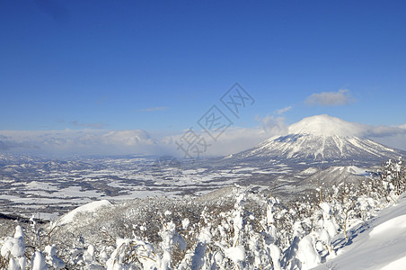 日本北海道滑雪滑雪者喜悦团体闲暇快乐朋友们粉末爬坡山脉力量图片