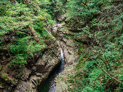 意大利皮埃蒙特的里奥瓦尔格兰德爬坡风景娱乐公园高山旅游季节森林踪迹旅行图片