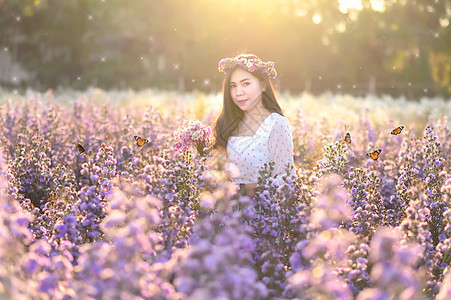 一个女人在花田里看花朵 晚上有蝴蝶 橙色的灯光自由女性旅行草地头发喜悦幸福紫色晴天女孩图片