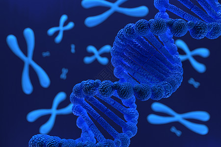 DNA 脱氧核糖核酸结构的 3d 渲染3d 插图染色体药品基因遗传生物蓝色艺术螺旋野生动物保健图片