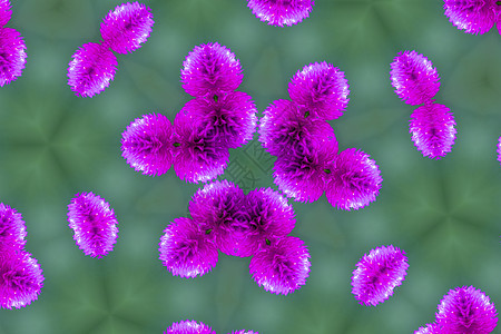 想象绿色背景的紫色病毒图画图片