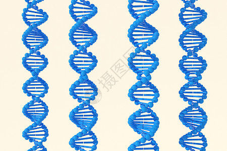 DNA 脱氧核糖核酸结构的 3d 渲染3d 插图化学科学螺旋野生动物微生物学绿色技术药品生物学遗传图片