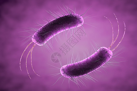 特写微观细菌 3d 它制作图案紫色科学疾病生物墙纸流感生物学渲染危险微生物图片
