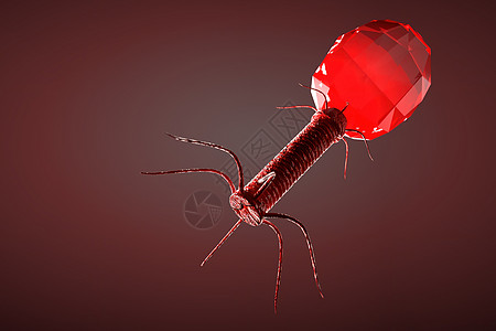 红色背景上显微镜噬菌体的 3d 插图特写科学技术野生动物宏观生物学渲染疾病药品微生物学流感图片
