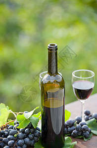 法国红酒红酒太阳农业栽培植物水果国家农村晴天葡萄园阳光照射背景