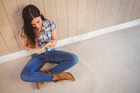 阅读蓝皮书的漂亮潮人文学头发服装棕色女性微笑休闲女士快乐小说图片