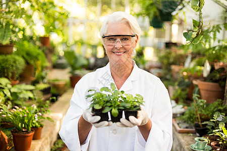 温室女科学家在温室存放植物图片