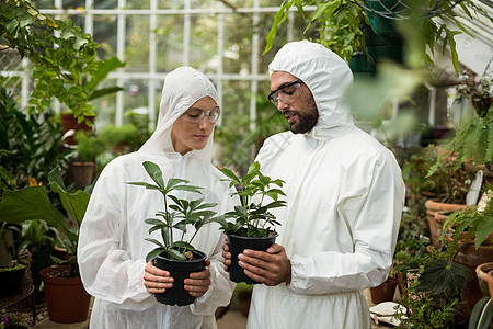 拥有陶植植物的干净西装科学家图片