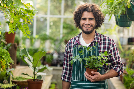 手持陶瓷植物的微笑男性园丁种植园园艺围裙环境格纹温室盆栽职业胡须卷发图片