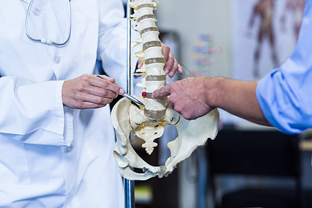 向病人展示脊椎模型的治疗师图片