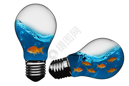 内有金鱼的灯泡 3D 复合图像游泳动物自然纹运动橙子主板元件背景女性电器图片