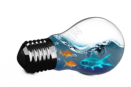 内有金鱼的灯泡 3D 复合图像活力运动机器纯色电气主板手势影棚主题电器图片
