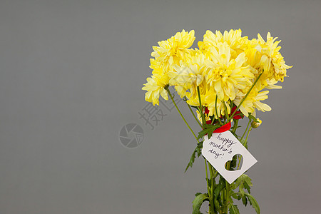 在鲜花上贴满日卡片花瓣耐力挑战创造力情怀节日季节问候语标签盛宴图片