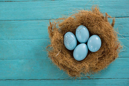 鸟巢中的蓝复活节鸡蛋展示手机玩具宠物收藏野兔闲暇染色礼物电话图片
