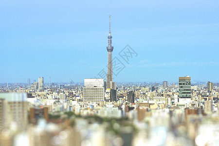 东京市与天空树的倾斜式空中观景位置省会绿化树木艺术蓝天花园地标摩天大楼摄影图片