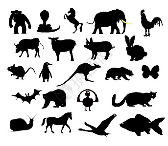 动物群集Sillhouette元素老鼠金鱼公鸡剪影团体北极熊羊肉蜗牛设计图片
