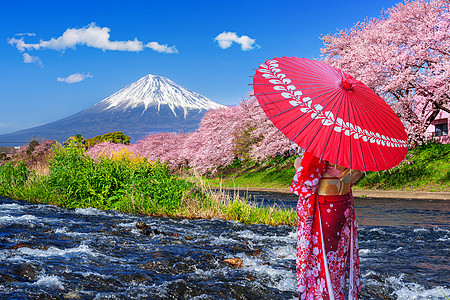 身着日本传统和服的亚裔妇女 在日本静冈看着樱花与丰盛的山峰图片