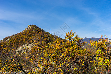 格鲁吉亚秋天风景途径天空明信片蓝色木头森林荒野树叶黄色旅行图片