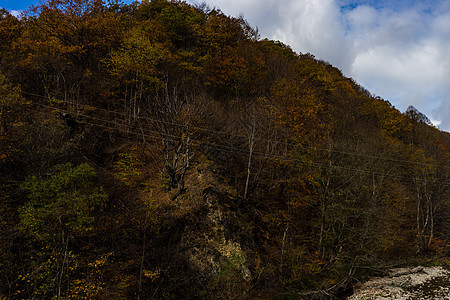 秋季旅游景色森林木头红色蓝色黄色树叶荒野小路人行道踪迹图片