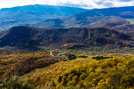 秋季旅游景色踪迹小路蓝色红色森林荒野树叶木头旅行黄色图片