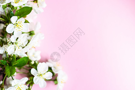 春花边框卡片绿色乡村植物假期桌子装饰玫瑰风格植物群图片