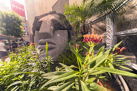 紧贴在被热带花朵包围的莫艾头雕像上店铺人脸部位聚会摄影国际入口鼻子石像岩石图片