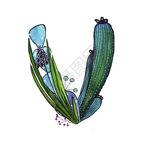 仙人掌形式的字母 C 设计元素非常适合字母表和 pla绘画植物植物学情调荒野卡通片学校教育生态字体图片