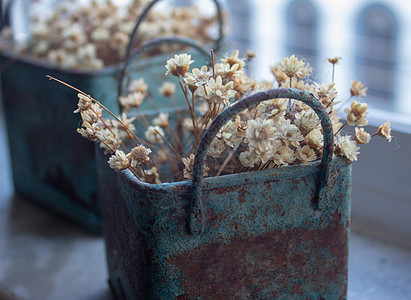 两盒蓝色金属盒子里 古老而生锈的花粉和干草染色森林风格浆果植物手工园艺太阳乐趣花盆房子图片