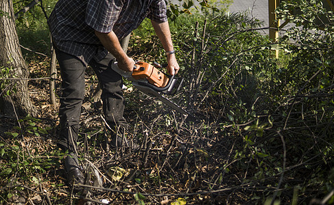 伐木工人用橙色链锯在林中砍伐木柴树木头木材技术伐木工工具安全汽油木工人树干工作刀刃危险图片