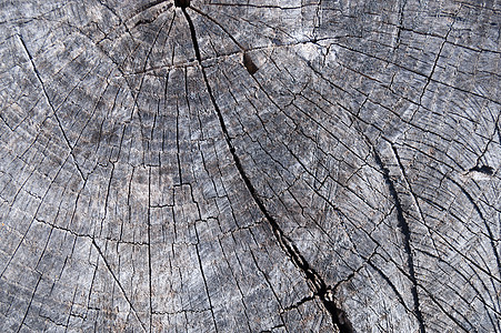 旧木纹理表面特写 表面上的苔藓和浮雕控制板栅栏木头风化材料硬木橡木乡村宏观粮食图片