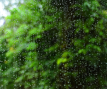 玻璃上的雨滴天气白色环境宏观天空风暴树木液体水滴蓝色图片