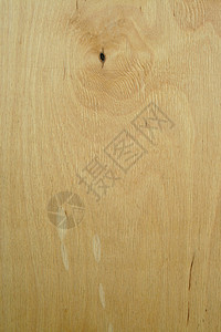 带结胶合板橡木装饰单板墙纸木材桌子松树床单木板地面图片