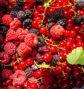 水桶背景特写照片中的新鲜草莓饮食季节衬套篮子覆盆子甜点水果灌木植物花园图片