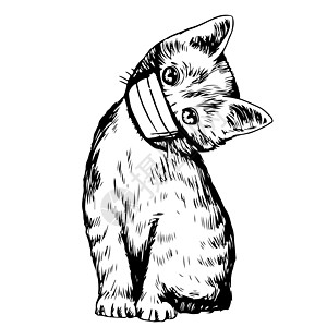 猫手绘绘制手戴蒙面图的猫插图危机涂鸦哺乳动物尾巴小猫草图耳朵表演小动物毛皮背景