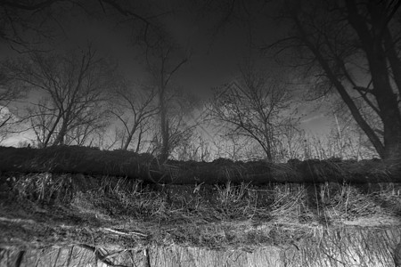 切尔诺贝利河天空旅游原子反射放射性黑色环境白色森林危险图片