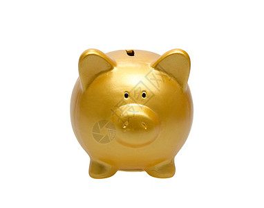 金猪银行小猪金子存钱储蓄财富硬币白色投资金融成功图片