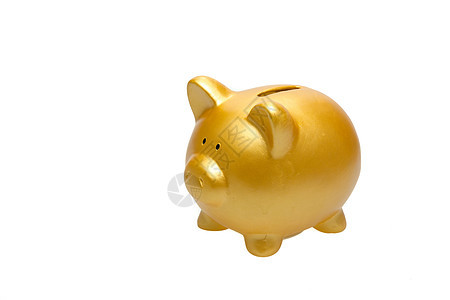 金猪银行白色成功投资硬币存钱金子财富小猪金融储蓄背景图片