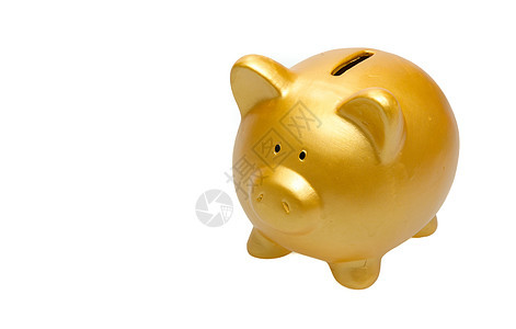 金猪银行金子存钱成功金融白色财富小猪投资硬币储蓄背景图片