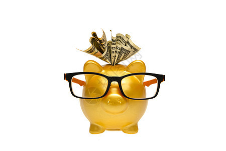 金猪银行成功硬币白色财富存钱储蓄小猪金融金子投资图片