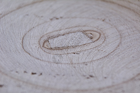 木桩上的旧戒指 宏指令濒危生长林业材料木材背景同心波纹森林木头图片