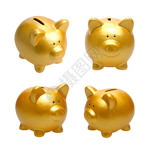 金猪银行硬币白色投资金融财富储蓄小猪成功金子存钱图片