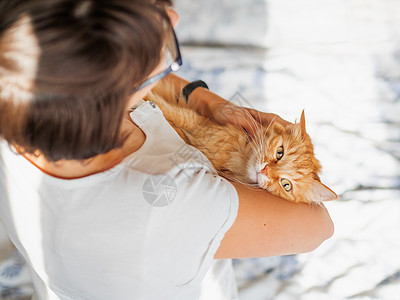 可爱的姜猫躺在女人的手上 毛茸茸的宠物舒适地安顿下来睡觉或玩耍 可爱舒适的背景 早上在家睡觉瞌睡小憩猫咪就寝时间小猫感情日光猫科图片