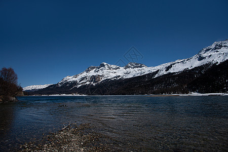瑞士恩加丁的Silvaplana湖树木蓝色天空假期森林高山自行车全景旅行山脉图片