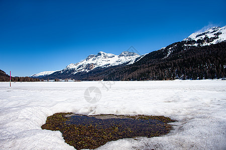 瑞士恩加丁的Silvaplana湖场景蓝色旅行树木假期天空森林高山全景岩石图片