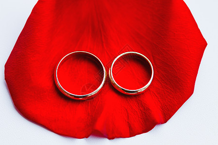 红玫瑰花瓣上的金婚戒指 结婚珠宝细节 爱情和婚姻的象征物玫瑰夫妻宏观传统配饰庆典红色图片