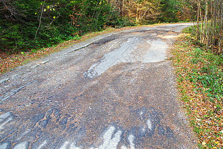 森林中的破碎道路图片