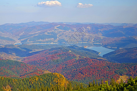 空中秋季森林和湖泊图片